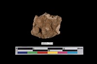 藏品(玉髓)的圖片